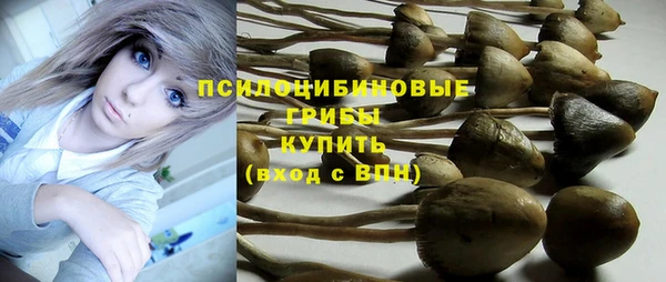 МДПВ Алексеевка