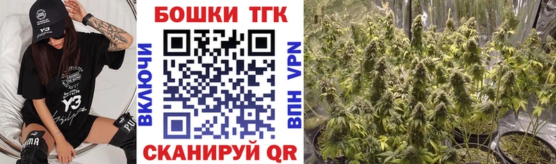 Бошки марихуана OG Kush Славск
